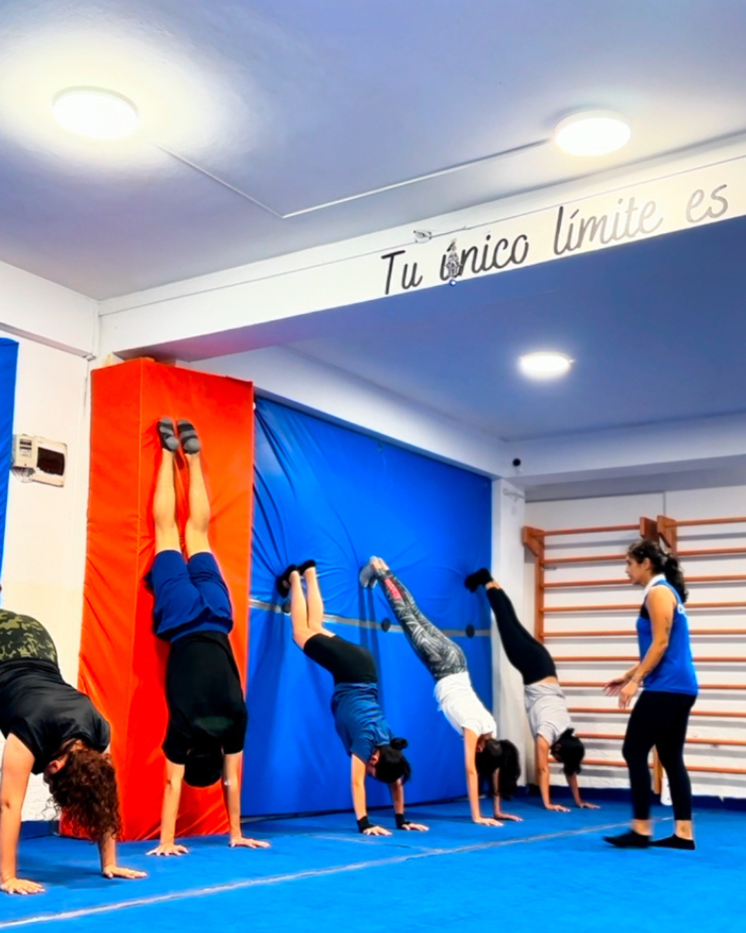 AcroFlex adultos
